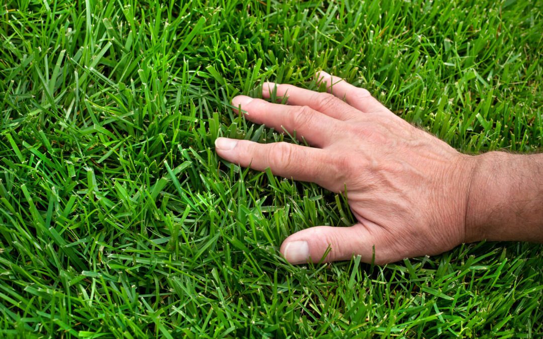 How Does Artificial Grass Save Time and Money on Lawn Maintenance?