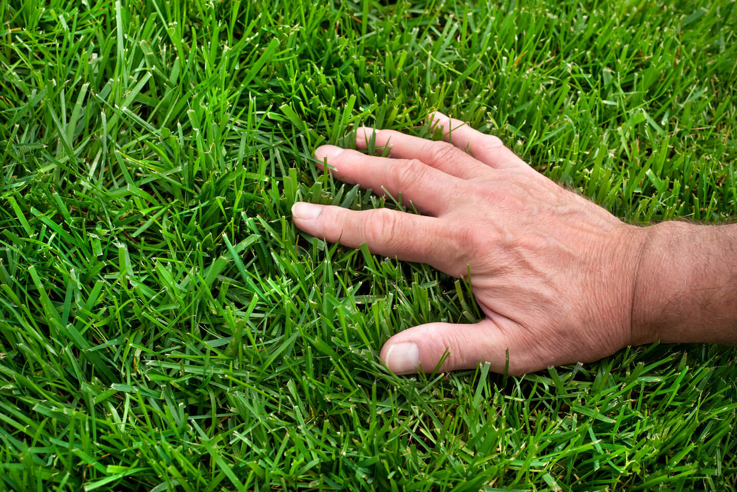 How Does Artificial Grass Save Time and Money on Lawn Maintenance?