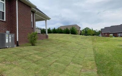 Is Bermuda Sod Durable Enough for High-Traffic Nashville Yards with Kids and Pets?