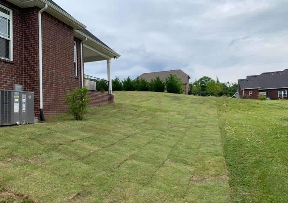 Is Bermuda Sod Durable Enough for High-Traffic Nashville Yards with Kids and Pets?