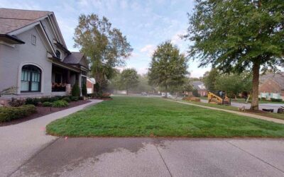 How Do I Care for Fescue Sod Through Nashville’s Climate?