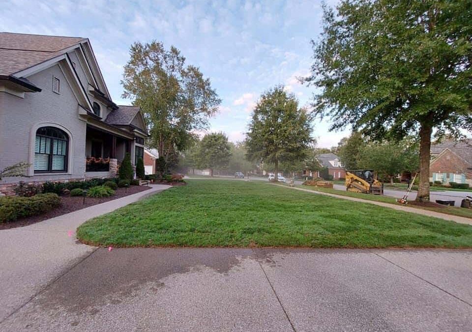 How Do I Care for Fescue Sod Through Nashville’s Climate?