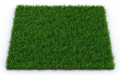 Artificial Grass in Nashville: The Perfect Choice for Pet Owners