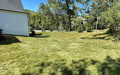 What Are the Benefits of Synthetic Grass for Nashville Backyards?