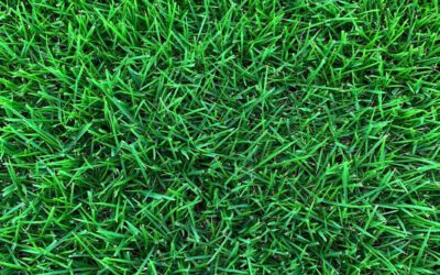What Are the Advantages of Synthetic Turf for Nashville Sports Fields and Play Areas?