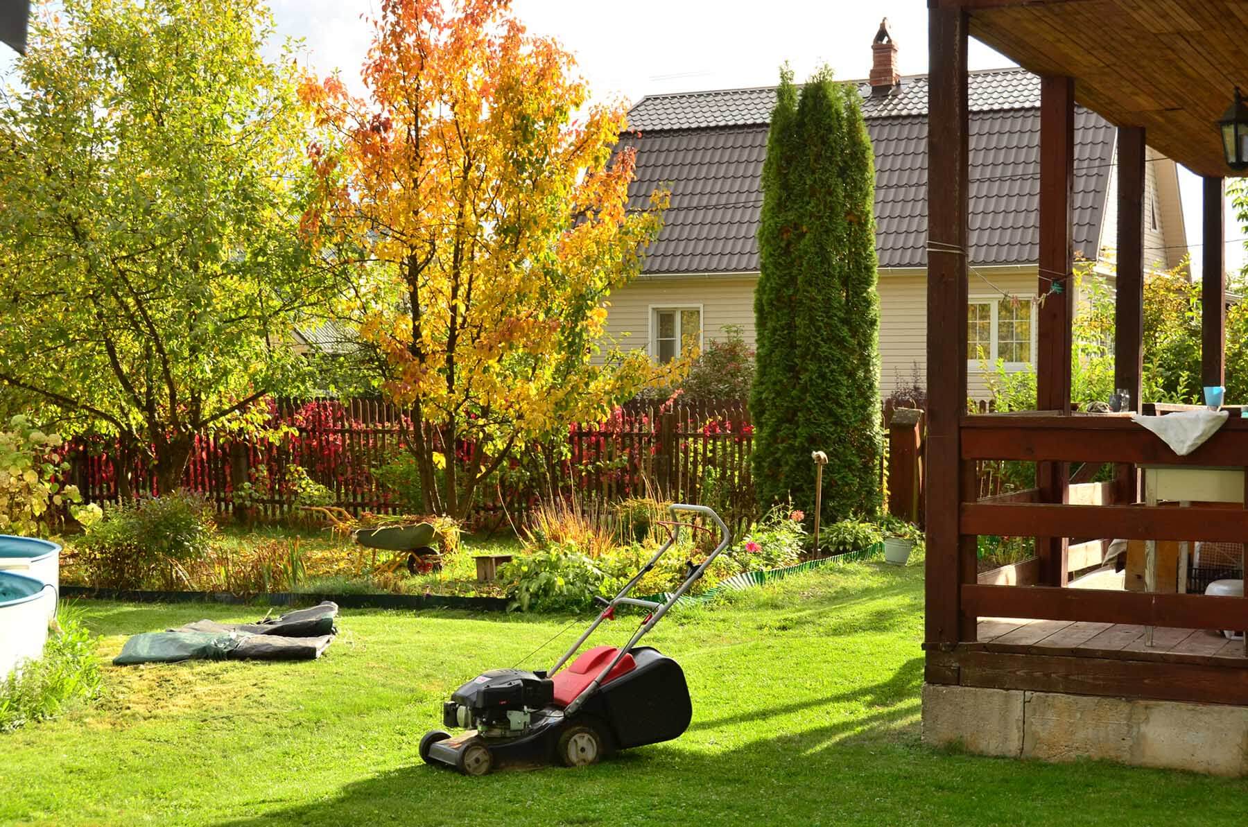Professional Lawn Care Services: Hire Experts and Save Your Time and Money