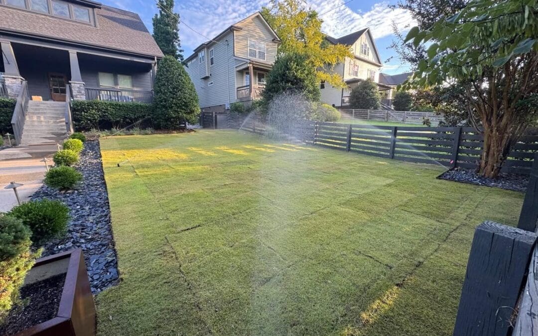What Are the Best Types of Sod in Nashville for Homes?