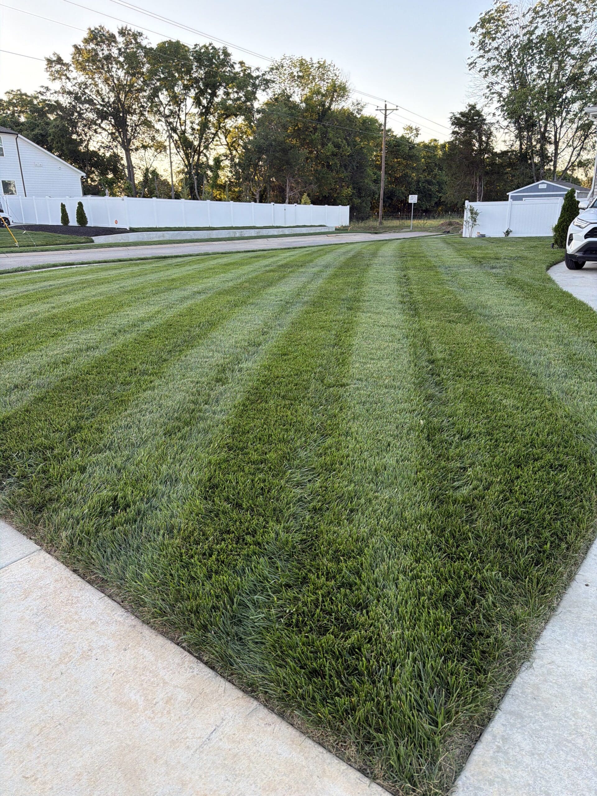 Tall Fescue Rolls - Image 2