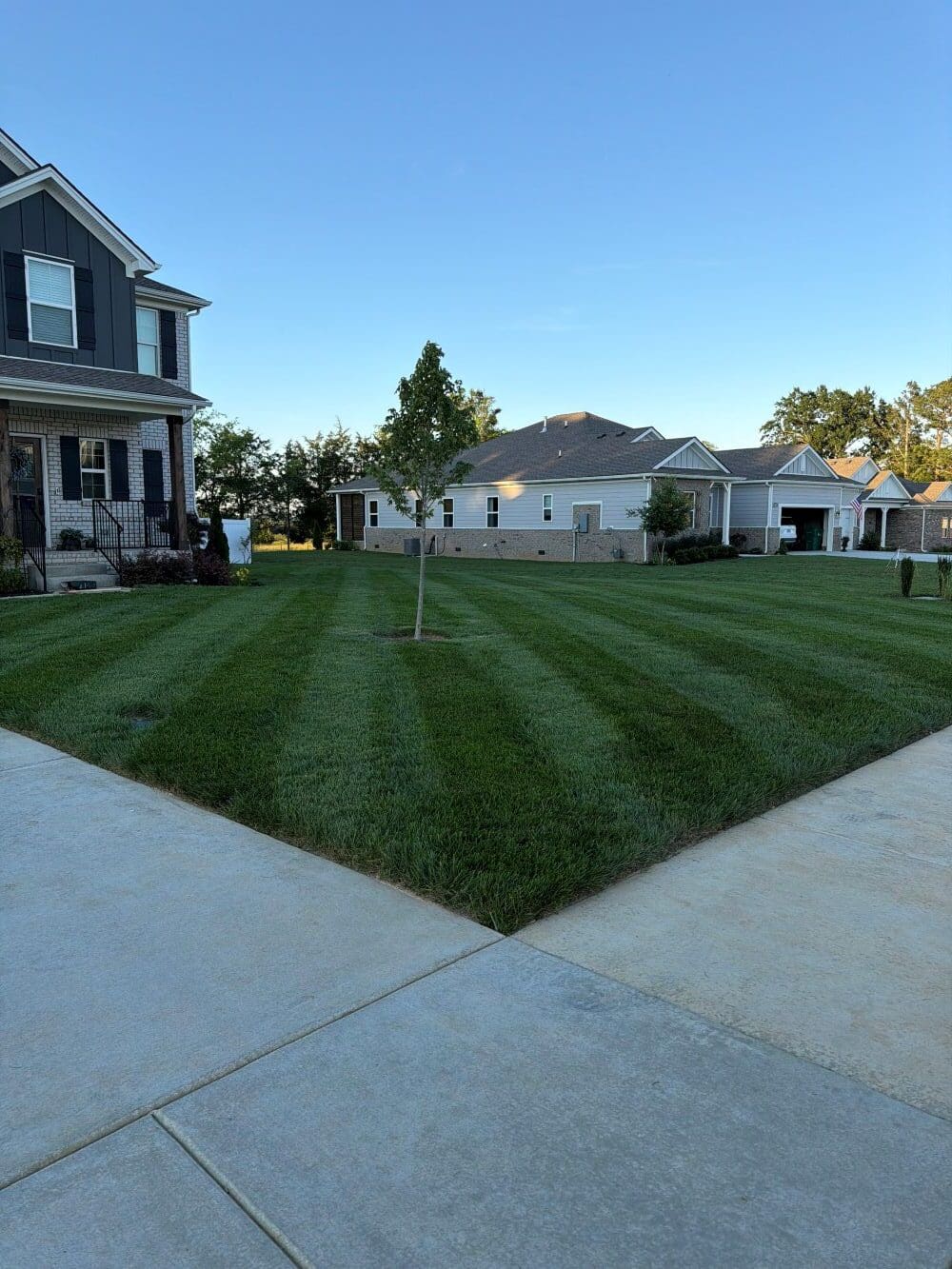 Tall Fescue Rolls - Image 4