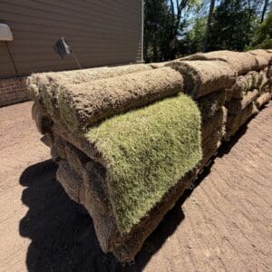 Zeon Zoysia Pallet